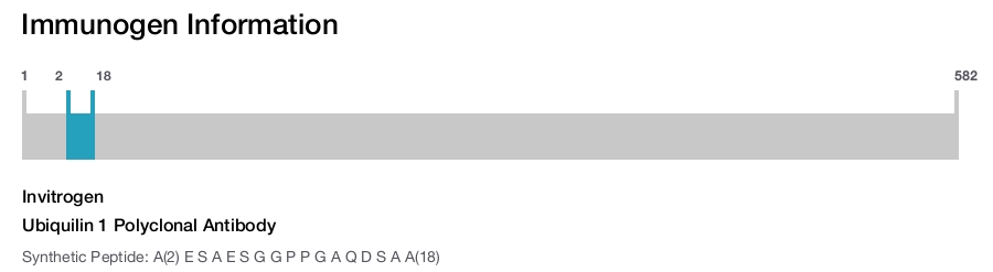 Ubiquilin 1 Polyclonal Antibody