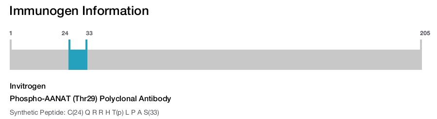 Phospho-AANAT (Thr29) Polyclonal Antibody
