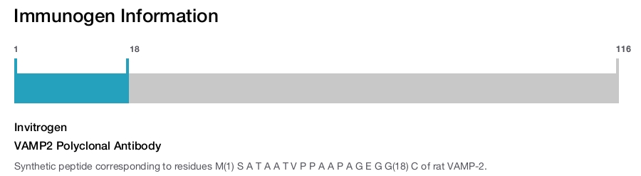 VAMP2 Polyclonal Antibody