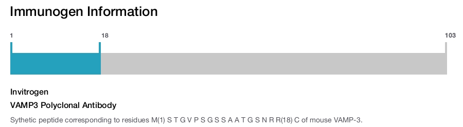 VAMP3 Polyclonal Antibody