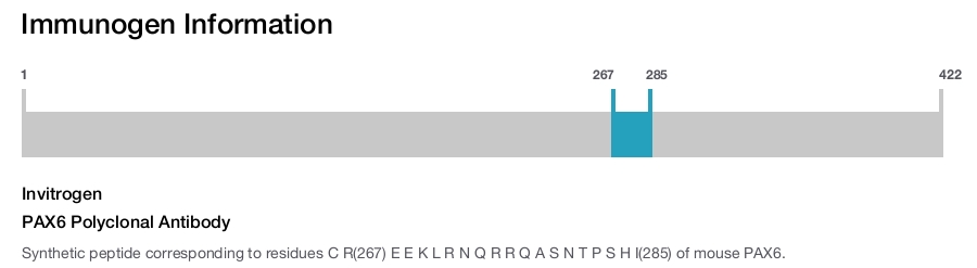 PAX6 Polyclonal Antibody