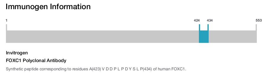 FOXC1 Polyclonal Antibody