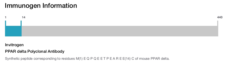 PPAR delta Polyclonal Antibody