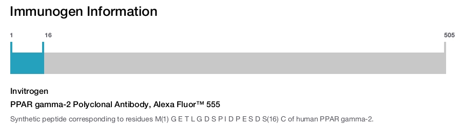 PPAR gamma-2 Polyclonal Antibody, Alexa Fluor&trade; 555