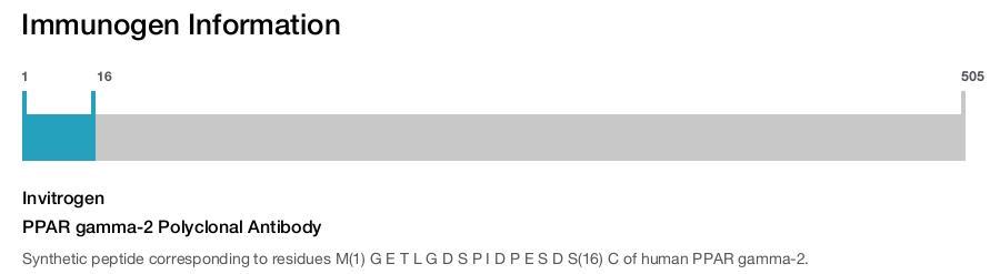 PPAR gamma-2 Polyclonal Antibody