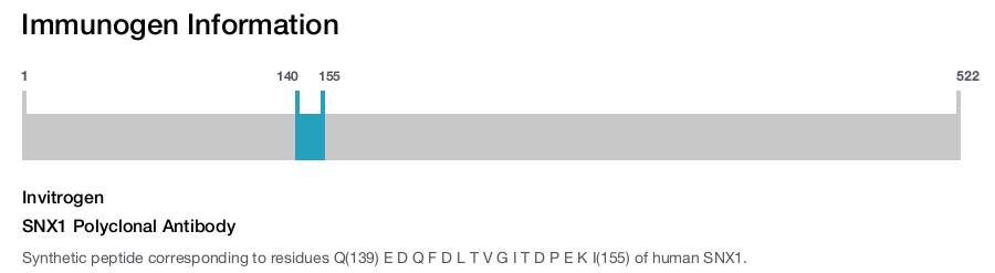 SNX1 Polyclonal Antibody