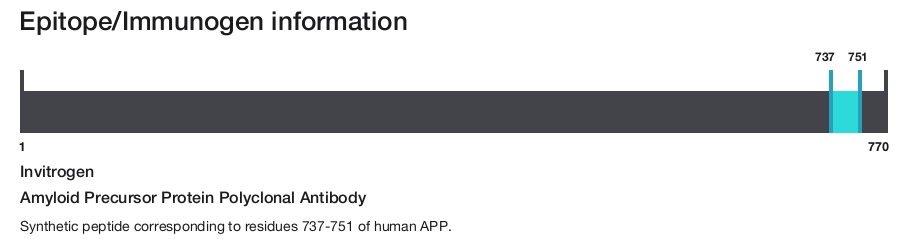 Amyloid Precursor Protein Polyclonal Antibody
