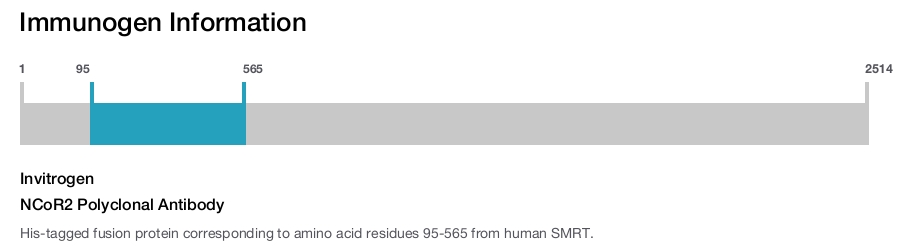 NCoR2 Polyclonal Antibody