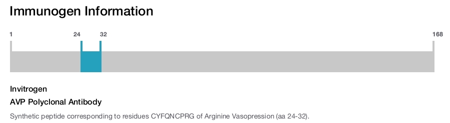 AVP Polyclonal Antibody
