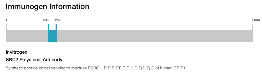 SRC2 Polyclonal Antibody