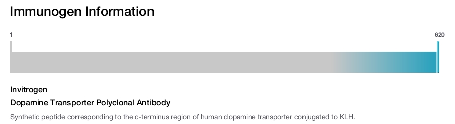 Dopamine Transporter Polyclonal Antibody