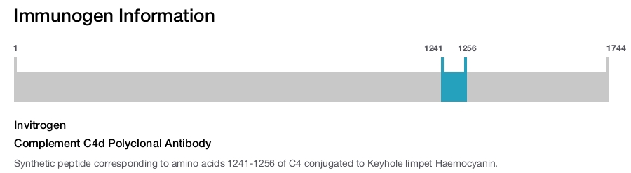 Complement C4d Polyclonal Antibody