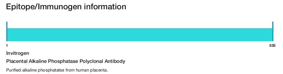 Placental Alkaline Phosphatase Polyclonal Antibody