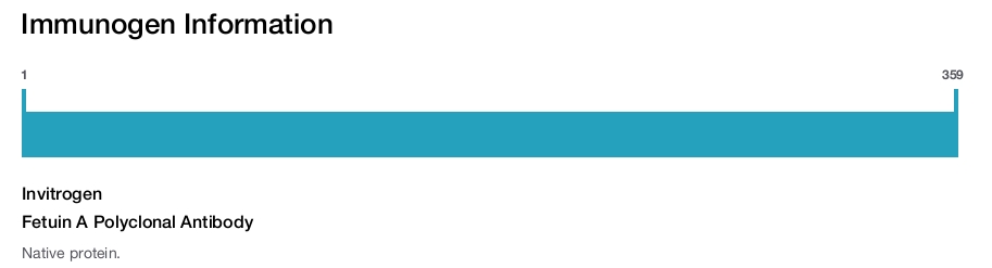 Fetuin A Polyclonal Antibody