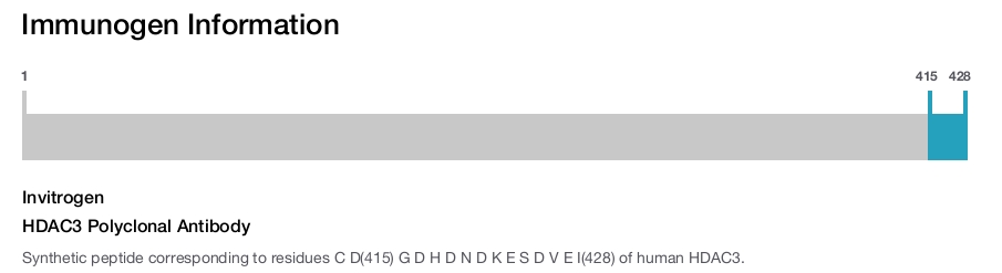 HDAC3 Polyclonal Antibody