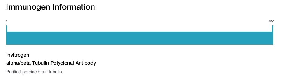 alpha/beta Tubulin Polyclonal Antibody