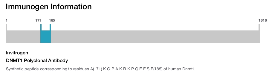 DNMT1 Polyclonal Antibody