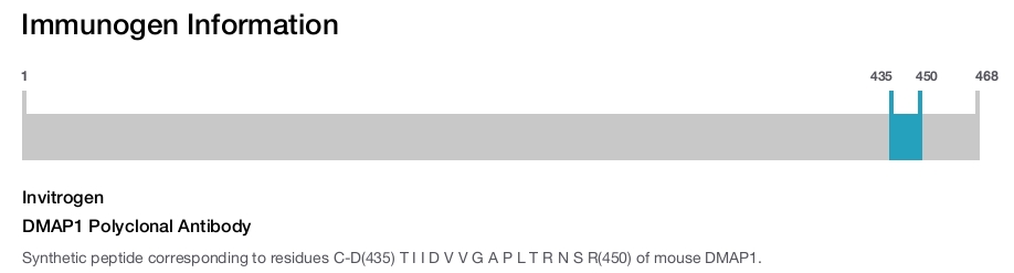 DMAP1 Polyclonal Antibody