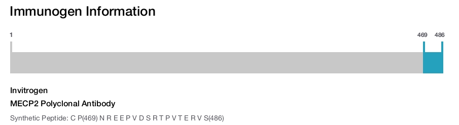 MECP2 Polyclonal Antibody