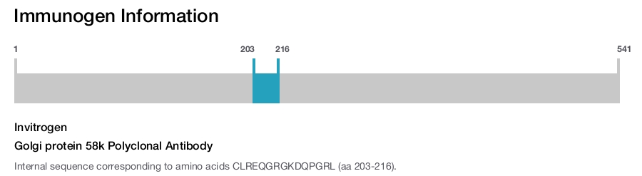 Golgi protein 58k Polyclonal Antibody