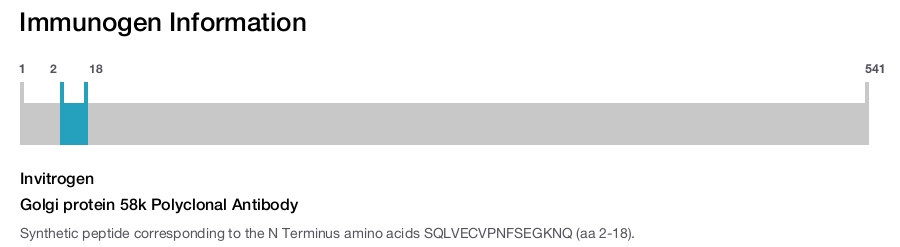 Golgi protein 58k Polyclonal Antibody