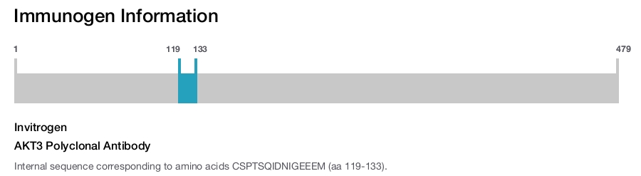 AKT3 Polyclonal Antibody