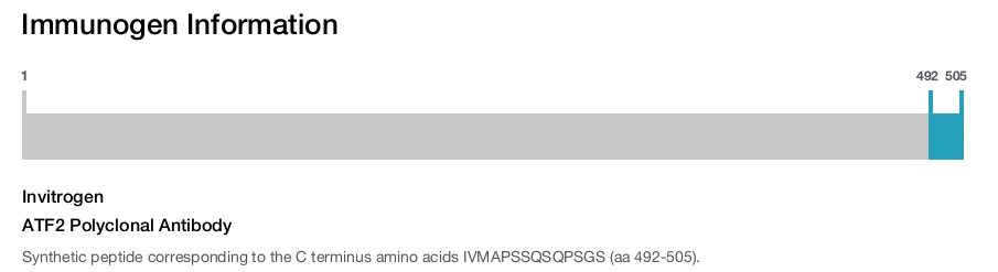 ATF2 Polyclonal Antibody