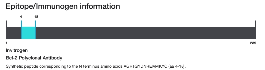 Bcl-2 Polyclonal Antibody