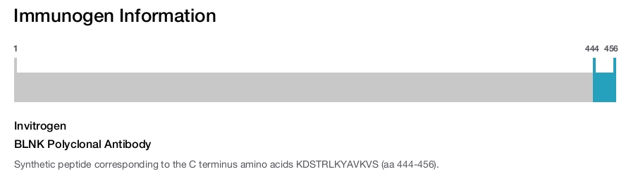 BLNK Polyclonal Antibody