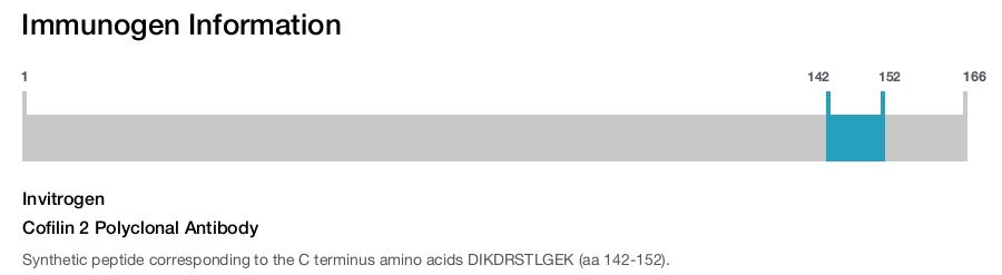 Cofilin 2 Polyclonal Antibody