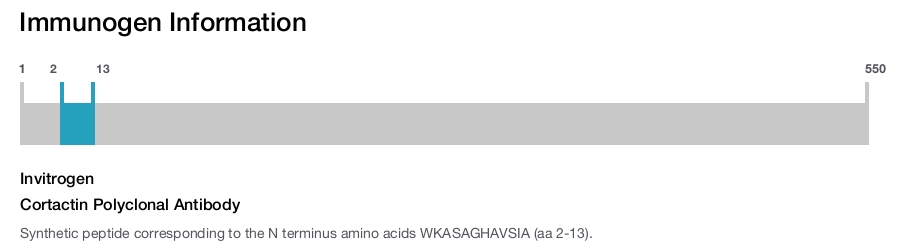 Cortactin Polyclonal Antibody