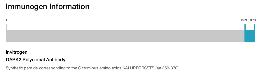 DAPK2 Polyclonal Antibody
