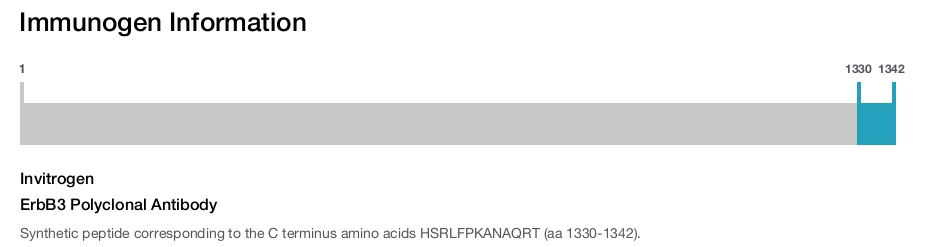 ErbB3 Polyclonal Antibody