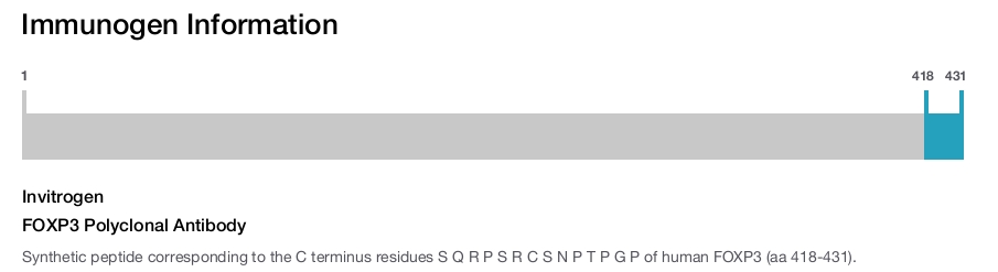 FOXP3 Polyclonal Antibody