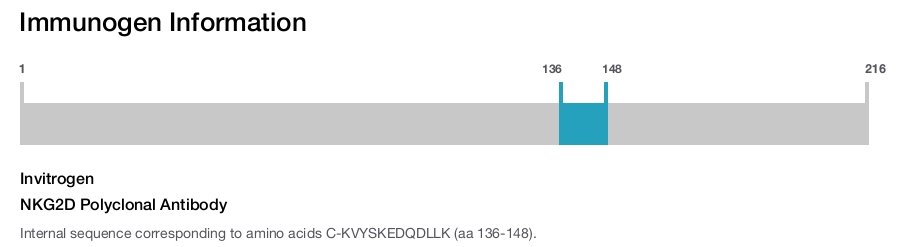 NKG2D Polyclonal Antibody