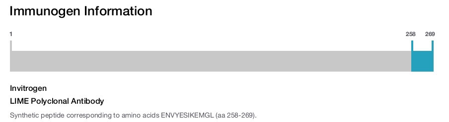 LIME Polyclonal Antibody