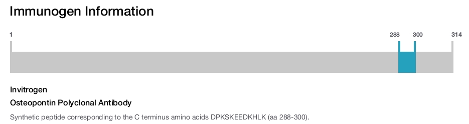 Osteopontin Polyclonal Antibody