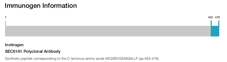 SEC61A1 Polyclonal Antibody