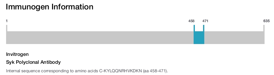 Syk Polyclonal Antibody