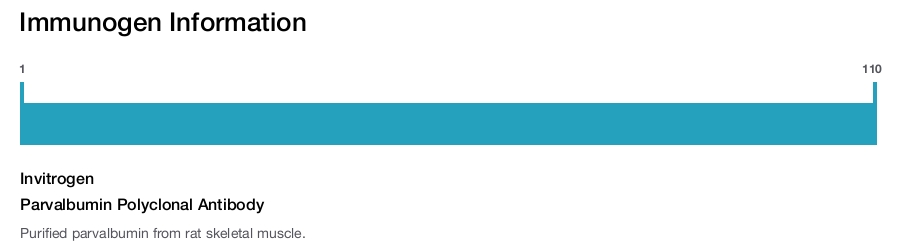 Parvalbumin Polyclonal Antibody