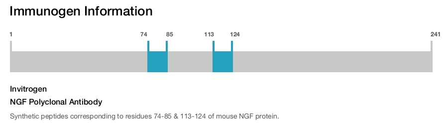 NGF Polyclonal Antibody