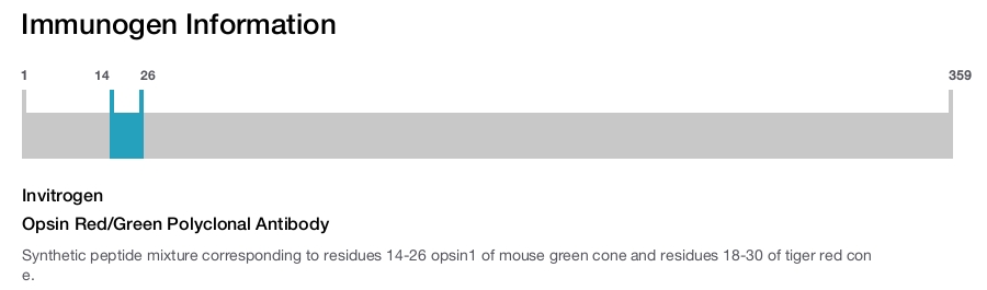 Opsin Red/Green Polyclonal Antibody