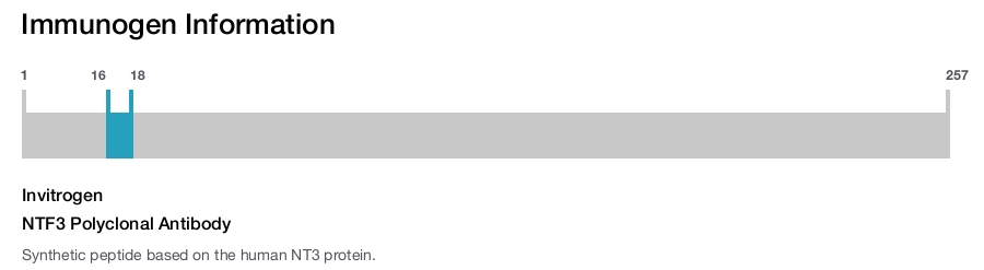 NTF3 Polyclonal Antibody
