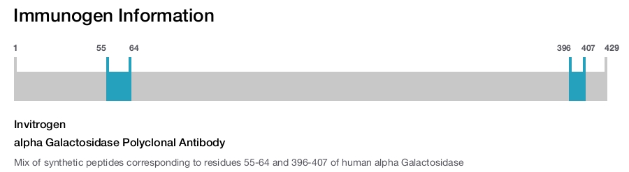 alpha Galactosidase Polyclonal Antibody