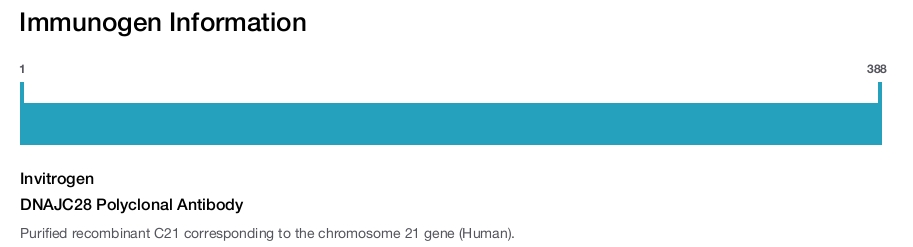 DNAJC28 Polyclonal Antibody