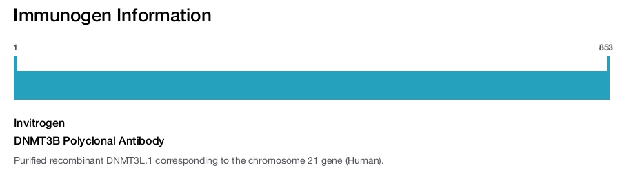 DNMT3B Polyclonal Antibody
