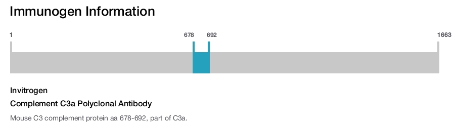 Complement C3a Polyclonal Antibody