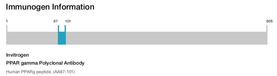 PPAR gamma Polyclonal Antibody