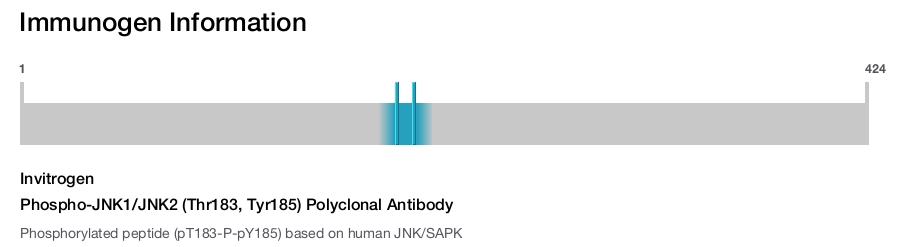 Phospho-JNK1/JNK2 (Thr183, Tyr185) Polyclonal Antibody