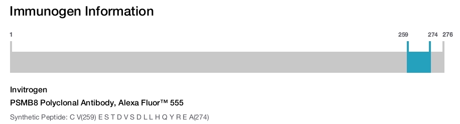 PSMB8 Polyclonal Antibody, Alexa Fluor&trade; 555